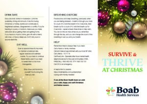 Survive and Thrive at Christmas Guide 